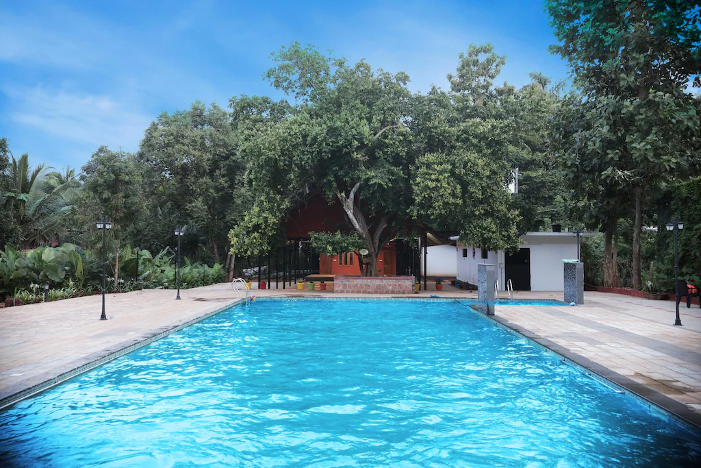 Afraid of Water? Beginner-Friendly Swimming Classes in Thrissur