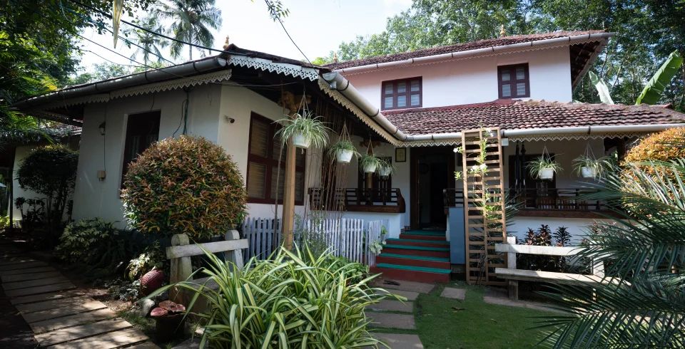 Homestays Near Mangottu Kavu: Where to Stay Guide